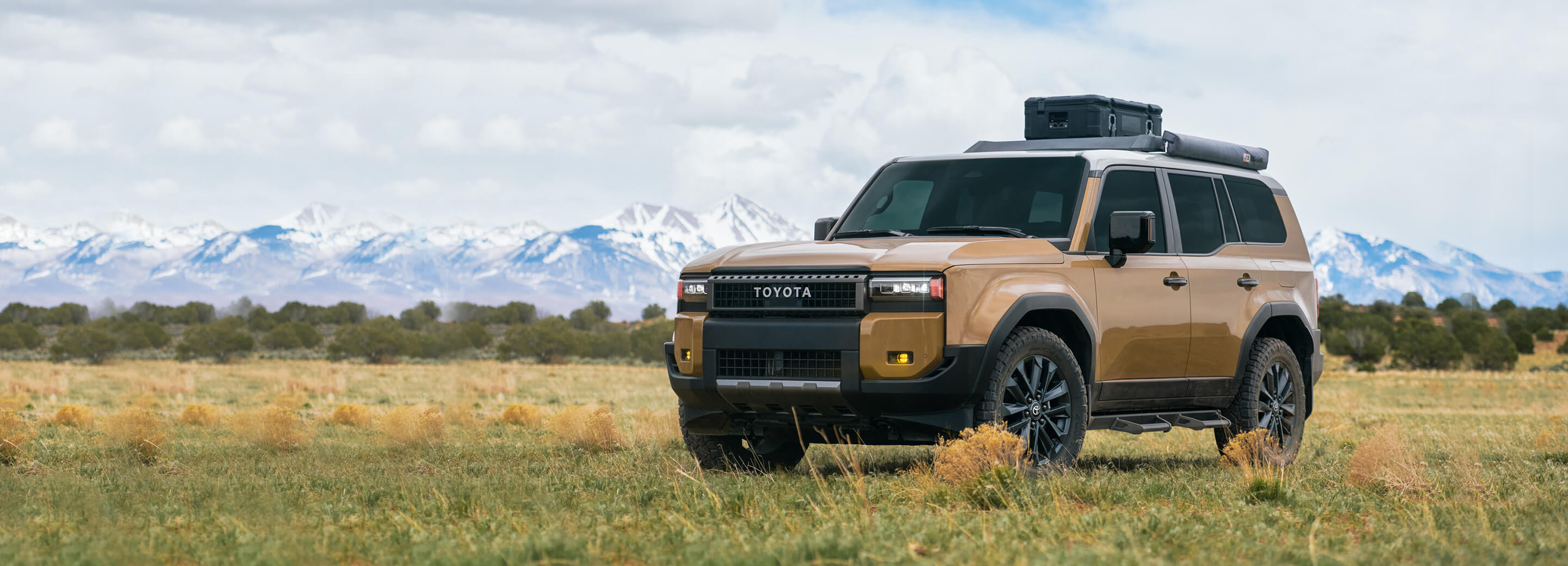 LAND CRUISER